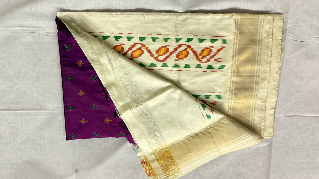 THS1- Pochampally Ikat Silk Saree (Pure Silk)